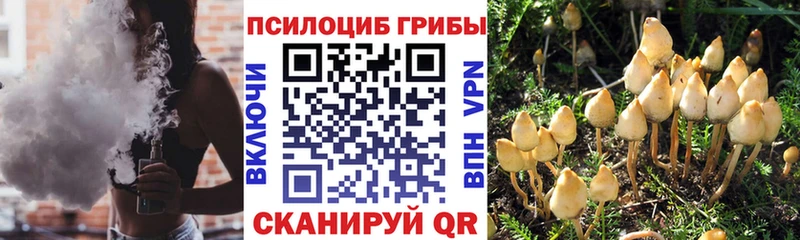 Галлюциногенные грибы Magic Shrooms  Купить где  Шарыпово 
